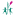 mundosdevida.pt icon