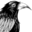 murderinclondon.com icon