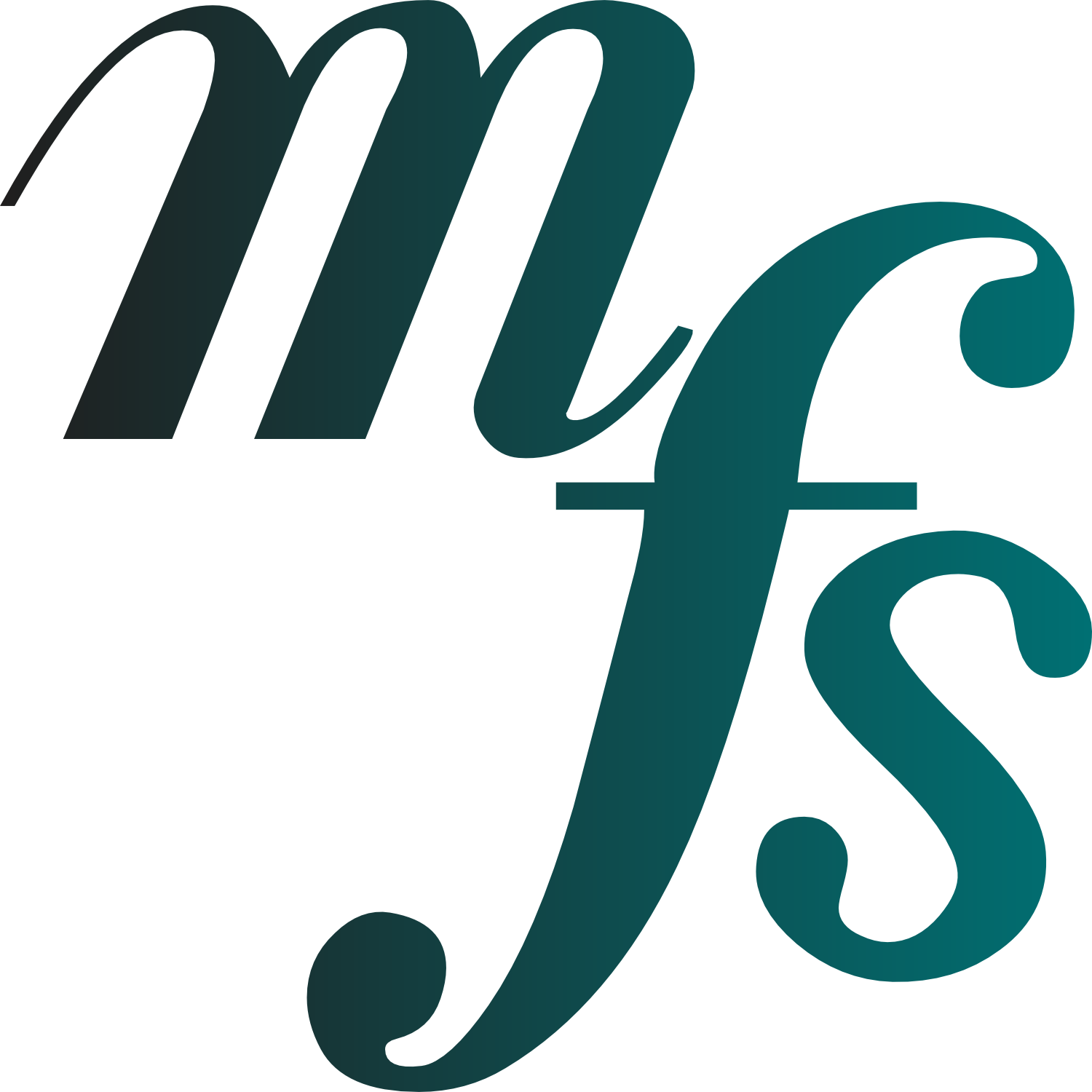 musicfestivalsuite.com icon