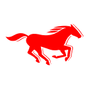 mustang-jeans.com icon