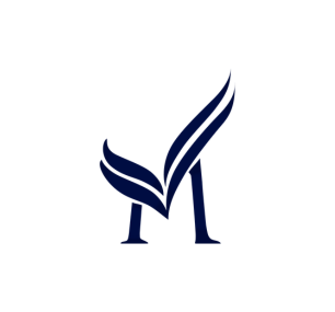 mvv.org.co logo