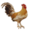 myamericanfarm.org icon