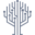 mybns.com icon
