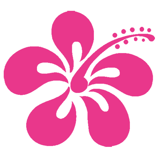 myboracayguide.com icon