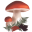 mycodb.fr logo