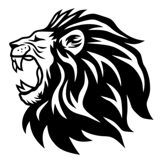mydubaisouq.com icon