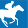 myhorseracing.horse icon