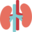 mykidneysmyhealth.com icon