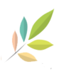 mylifeid.com icon
