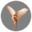 mymodelnetwork.eu icon