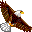 mypack.us icon