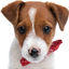 myretainersforlife.com icon