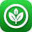 mysticherbdispensary.com icon