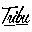 mytribunews.com icon