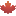 n49.ca icon
