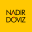 Nadir Döviz logosu