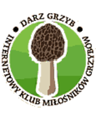 nagrzyby.pl icon