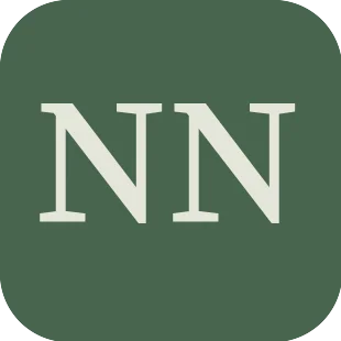 nahe-news.de icon