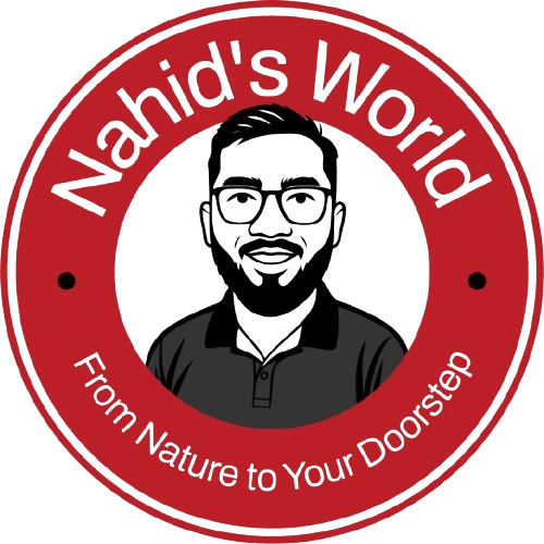 nahidsworld.com icon