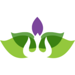 namasteinteractive.com icon