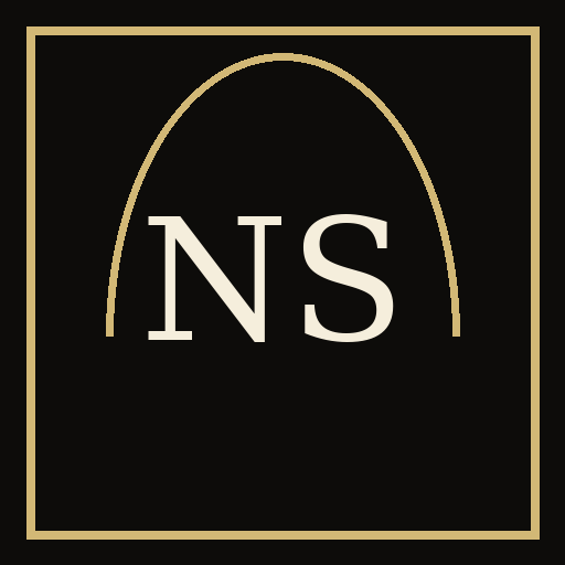 namesaints.com logo