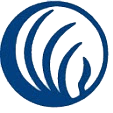 namihawaii.org icon