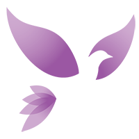 nancylandrum.com icon