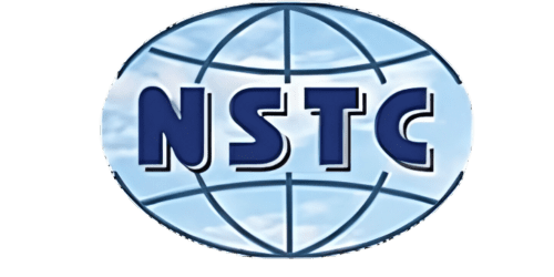 nanoschool.in icon