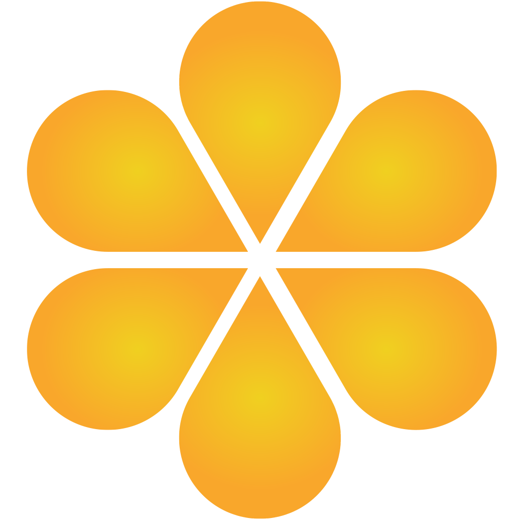 napsu.fi icon