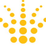 nardeen.com.sa logo