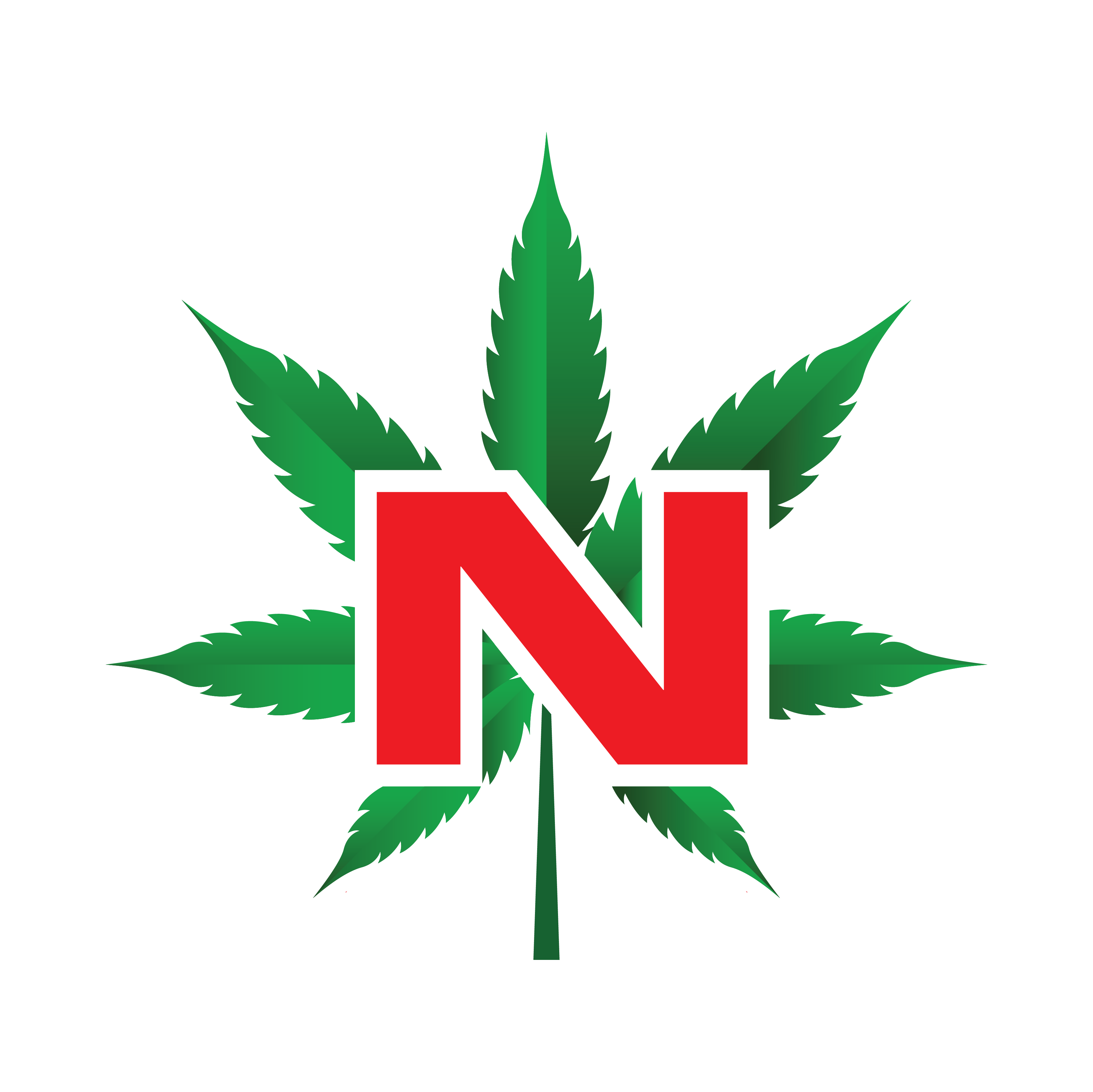 narkobetjoz.com icon