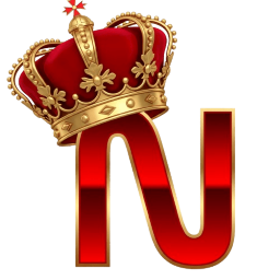 nasa4dnaik.co icon