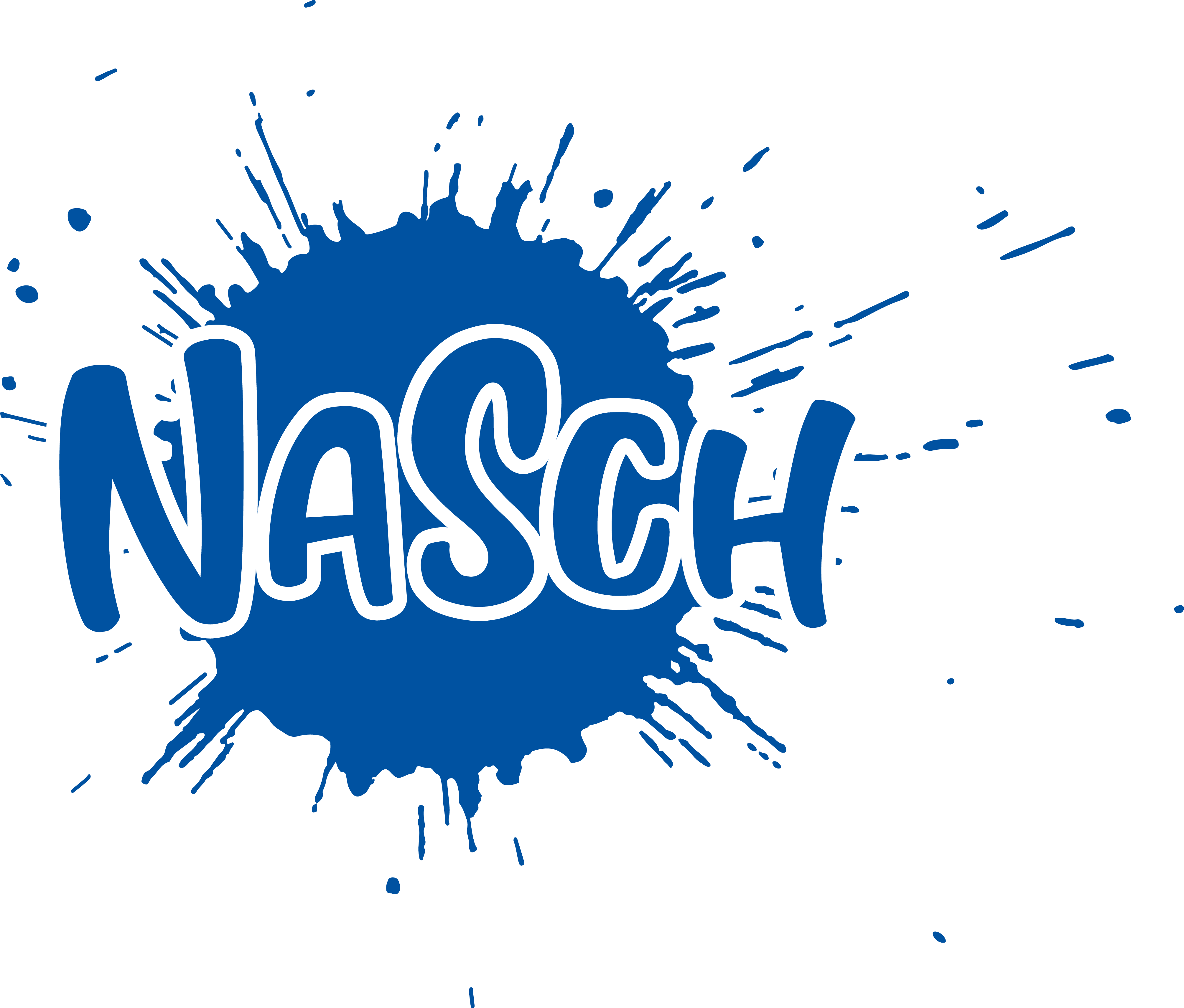 nasch.de icon
