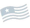nased.org logo