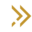 nationsfg.com icon