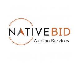nativebid.com icon