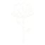 nativeblooms.com icon