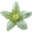 natur-forum.de icon