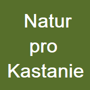 natur-pro-kastanie-shop.de icon