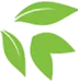 naturalhealingcenter.us icon