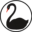naturallawinstitute.com icon