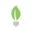 naturallivingideas.com icon