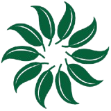 naturalsbyrakhi.com icon