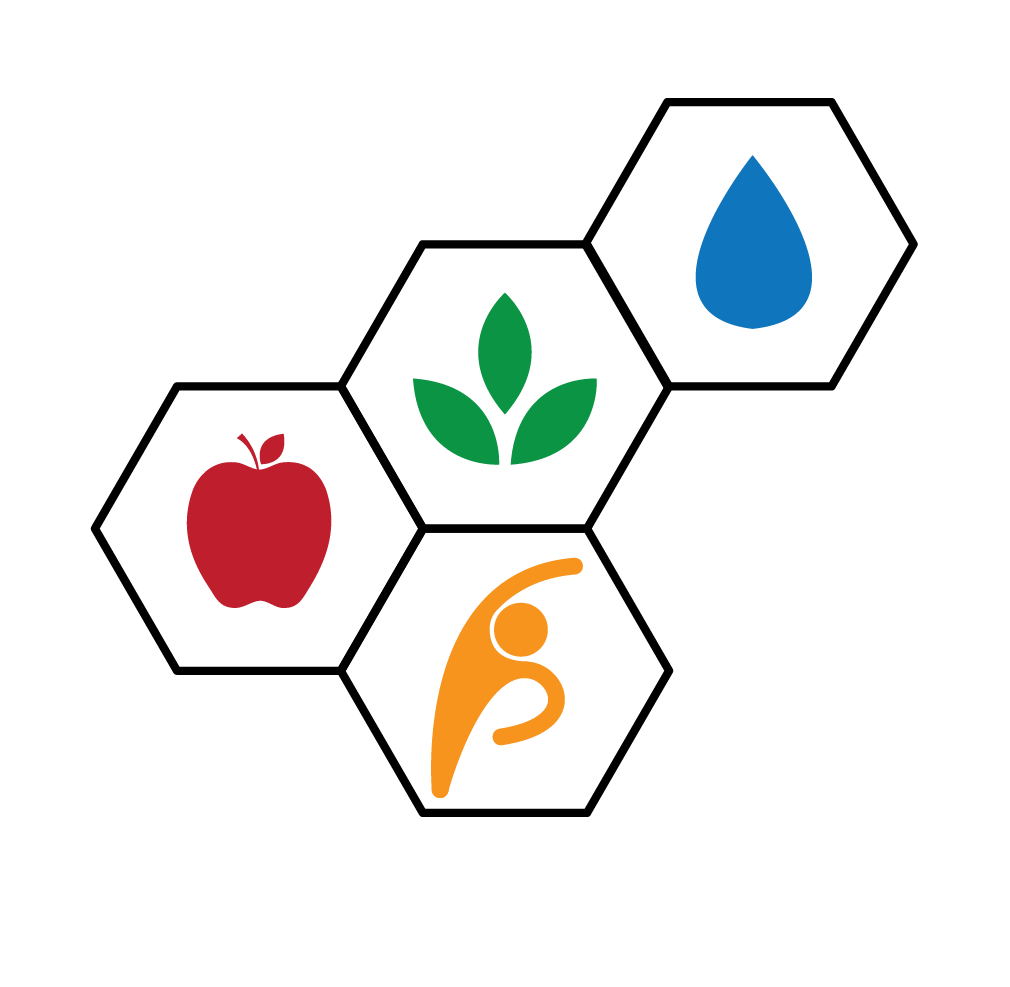 naturalsolutionsforparkinsonsdisease.com icon
