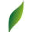 naturamazur.pl icon