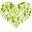 naturarvet.se icon