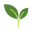 Naturasil logo