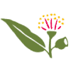 natureplaywa.org.au icon