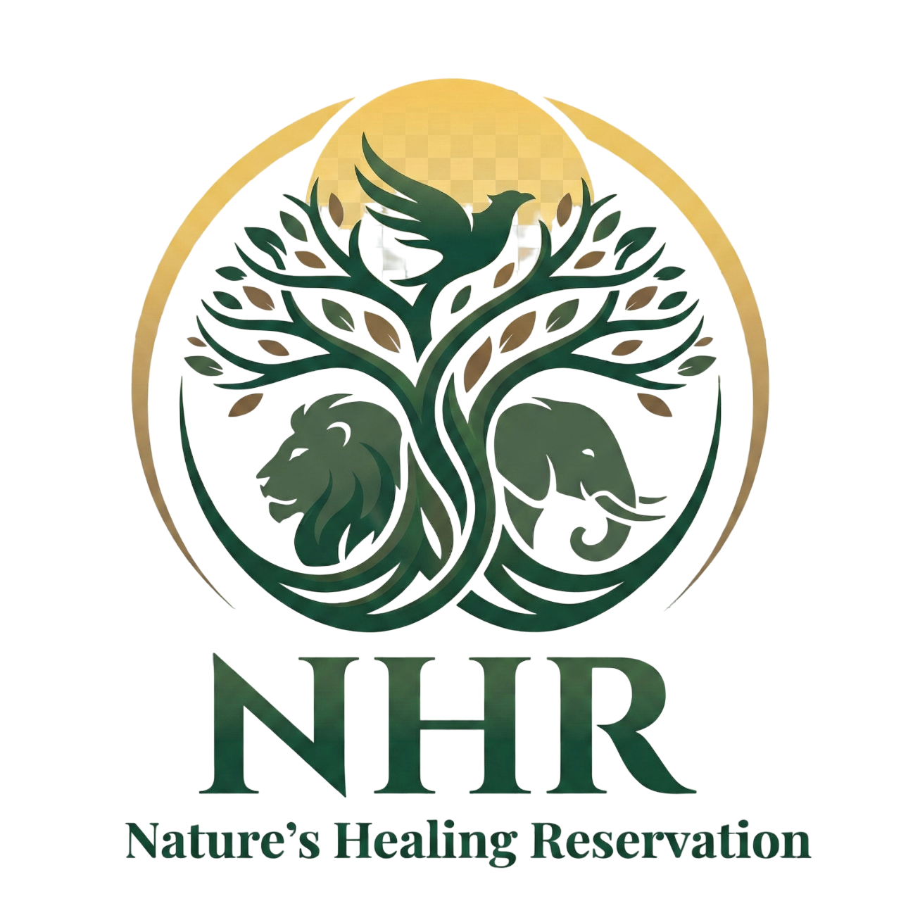 natureshealingreservation.com icon