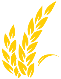 naturesownbread.com icon